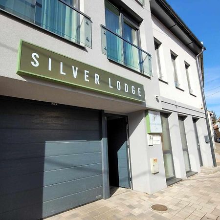 Silver Lodge Apartments 埃格尔 外观 照片