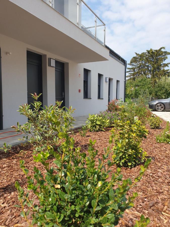 Silver Lodge Apartments 埃格尔 外观 照片